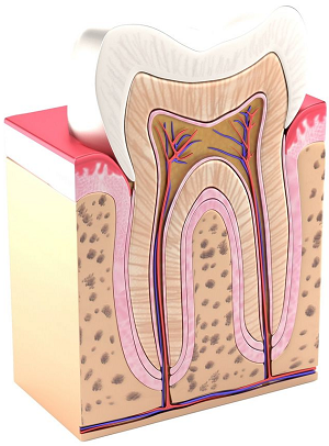 Enamel